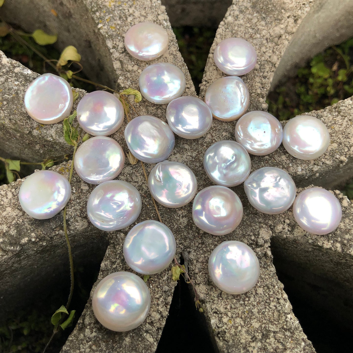 Coin Pearls 14-15mm White Single Piece COIN_S005