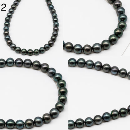 13-14mm Tahitian Pearls, 16” Full Strand, Undrilled (No Hole), Natural Color, High Luster, SKU # 3061TH