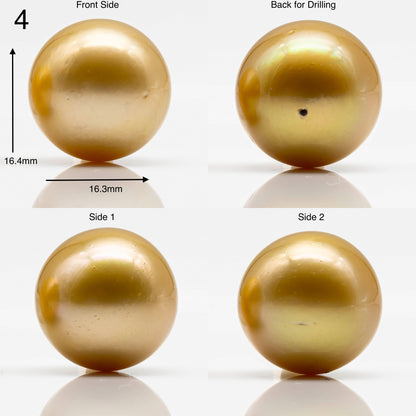 16-17mm Large Size Golden South Sea Pearl in Natural Color with High Luster, Round Single Piece Undrilled for Jewelry Making, SKU # 1907GS