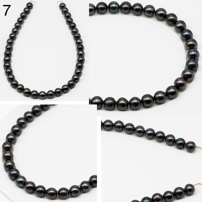 11-12mm Tahitian Pearls, 16” Full Strand, Undrilled (No Hole), Natural Color, High Luster, SKU # 3057TH