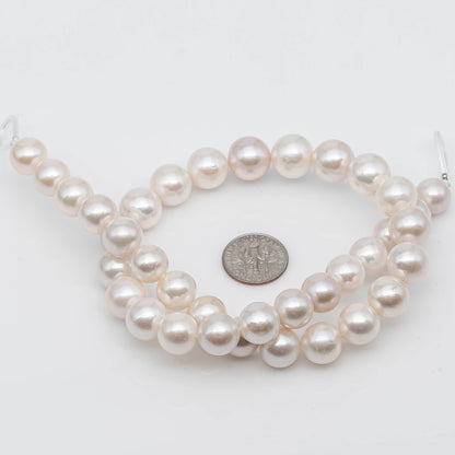 10-12mm Edison Pearl Strand White Color