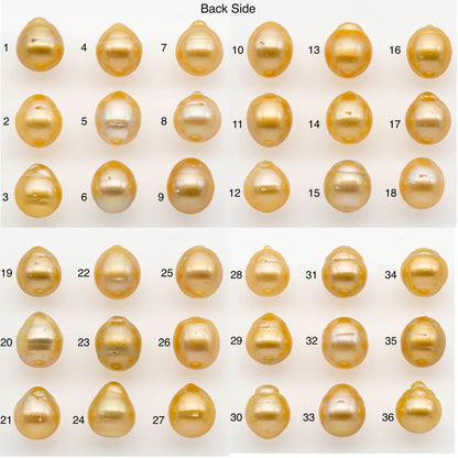12-13mm South Sea Pearl, Gold Drop Single Piece Nondrilled with High Luster and Minor Blemishes for Jewelry Making, SKU # 2301GS