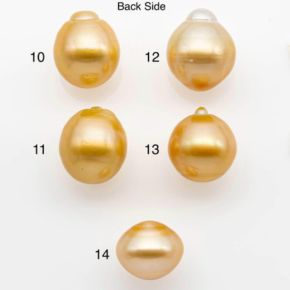 15-16mm Gold South Sea Pearl  Undrilled for Jewelry Making, Natural Gold Color Saltwater Pearl, SKU#2311GS
