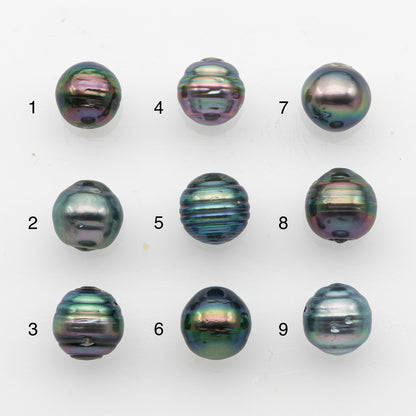 8-9mm Tahitian Pearl, Loose Undrilled with High Luster and Blemishes for Jewelry Making, SKU # 2915TH