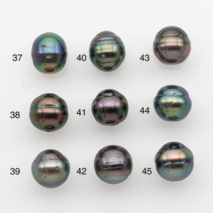 9-10mm Tahitian Pearl, Loose Undrilled with High Luster and Blemishes for Jewelry Making, SKU # 2911TH
