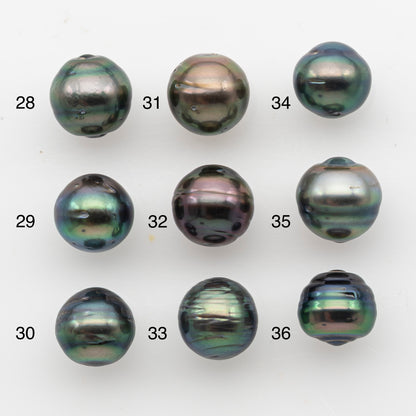 10-11mm Tahitian Pearl, Loose Undrilled with High Luster and Blemishes for Jewelry Making, SKU # 2912TH