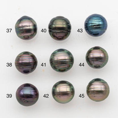 10-11mm Tahitian Pearl, Loose Undrilled with High Luster and Blemishes for Jewelry Making, SKU # 2912TH