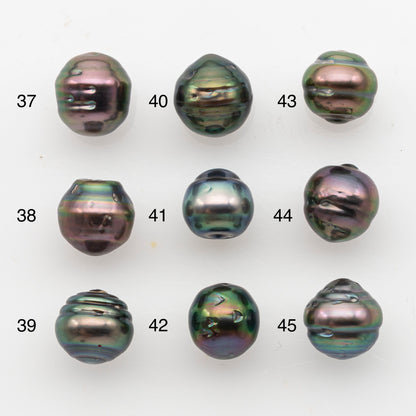 9-10mm Tahitian Pearl, Loose Undrilled with High Luster and Blemishes for Jewelry Making, SKU # 2913TH