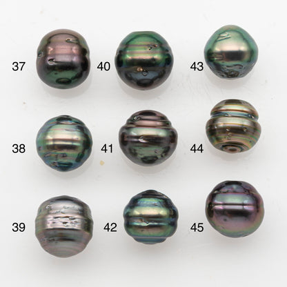 10-11mm Tahitian Pearl, Loose Undrilled with High Luster and Blemishes for Jewelry Making, SKU # 2914TH