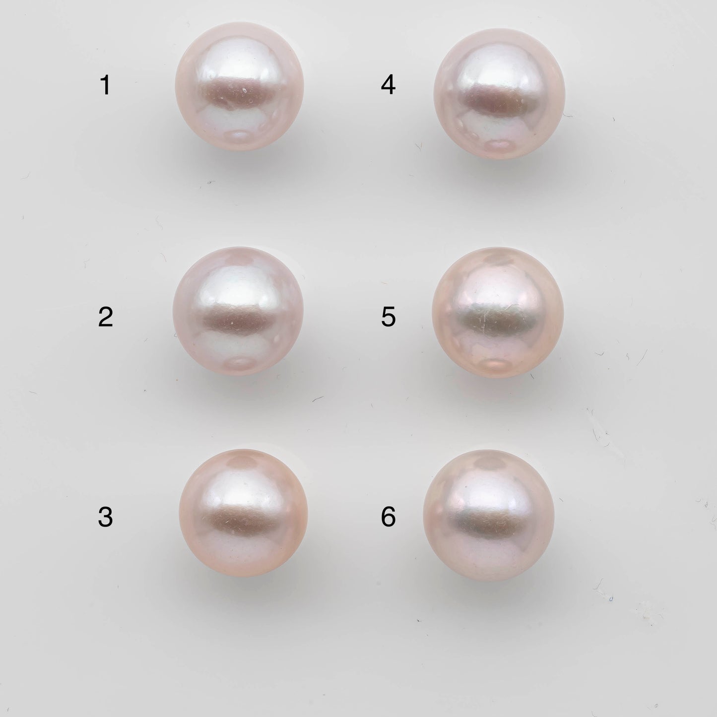 11-12mm Edison Pearl in White with Pink Tone Round Loose and Undrilled for Jewelry Making