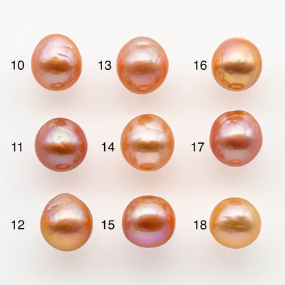 11-12mm Edison Pearl Drops in Natural Dark Champagne Colors and Amazing Lusters from Undrilled or Large Hole, SKU # 1800EP