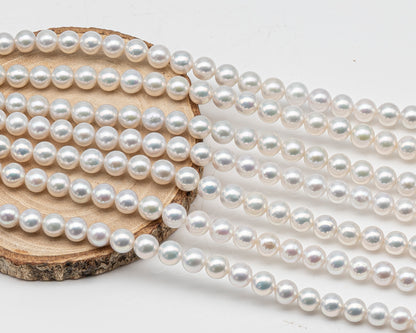 7.5-8.5mm Freshwater Pearl in Full Strand, Natural Colors with High Luster, Pre-Strung for Jewelry Making, SKU # 3123EP