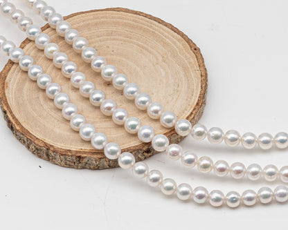7.5-8.5mm Freshwater Pearl in Full Strand, Natural Colors with High Luster, Pre-Strung for Jewelry Making, SKU # 3123EP