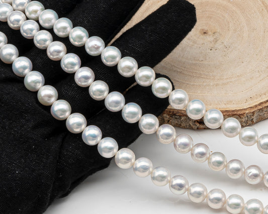 7.5-8.5mm Freshwater Pearl in Full Strand, Natural Colors with High Luster, Pre-Strung for Jewelry Making, SKU # 3123EP