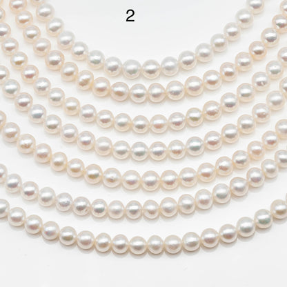 AAA 5-5.5mm White Freshwater Pearl Bead in Near Round with Blemishes for Jewelry Making, SKU # 1964FW