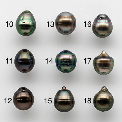 11-12mm Cultured Tahitian Pearl Drop in Natural Colors and High Lusters, Single Loose Piece Undrilled for Jewelry Making, SKU # 1649TH