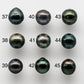 12-13mm Undrilled Tahitian Pearl Bead Drop Single Piece with High Luster and Natural Color, Half or Full Drilled to Large Hole, SKU # 1659TH