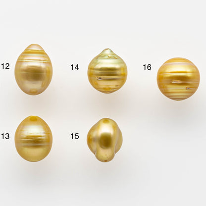 10-12mm Golden South Sea Pearl Drops in Natural Color with High Luster and Blemishes, Single Piece with Full Drilled, SKU # 1673GS