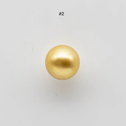 12-13mm Round Golden South Sea Pearl in Natural Color and High Luster with Blemish Free, Loose Single Piece Half Drilled, SKU # 1701GS