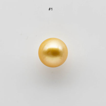 12-13mm Round Golden South Sea Pearl in Natural Color and High Luster with Blemish Free, Loose Single Piece Half Drilled, SKU # 1701GS