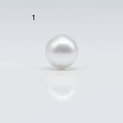 12-13mm South Sea Pearl in Near Round with Natural White Color and High Luster, Blemishes and Loose Single Piece Half Drilled, SKU # 1680SS