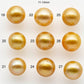 10-12mm Gold South Sea Pearl Drops Undrilled for Jewelry Making, Natural Gold Color Saltwater Pearl, SKU#1992GS