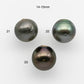 11-16mm Tahitian Pearl with High Luster and Natural Color with Minor Blemishes, Loose Single Piece Undrilled, SKU # 2159TH