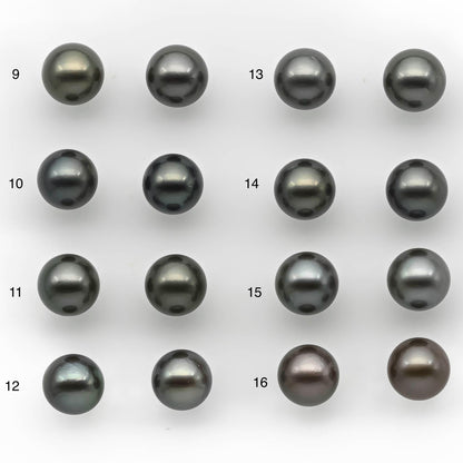 9-10mm Matching Pair Round Tahitian Pearl Loose Undrilled with Minor Blemish, For Making Earring, SKU # 2217TH