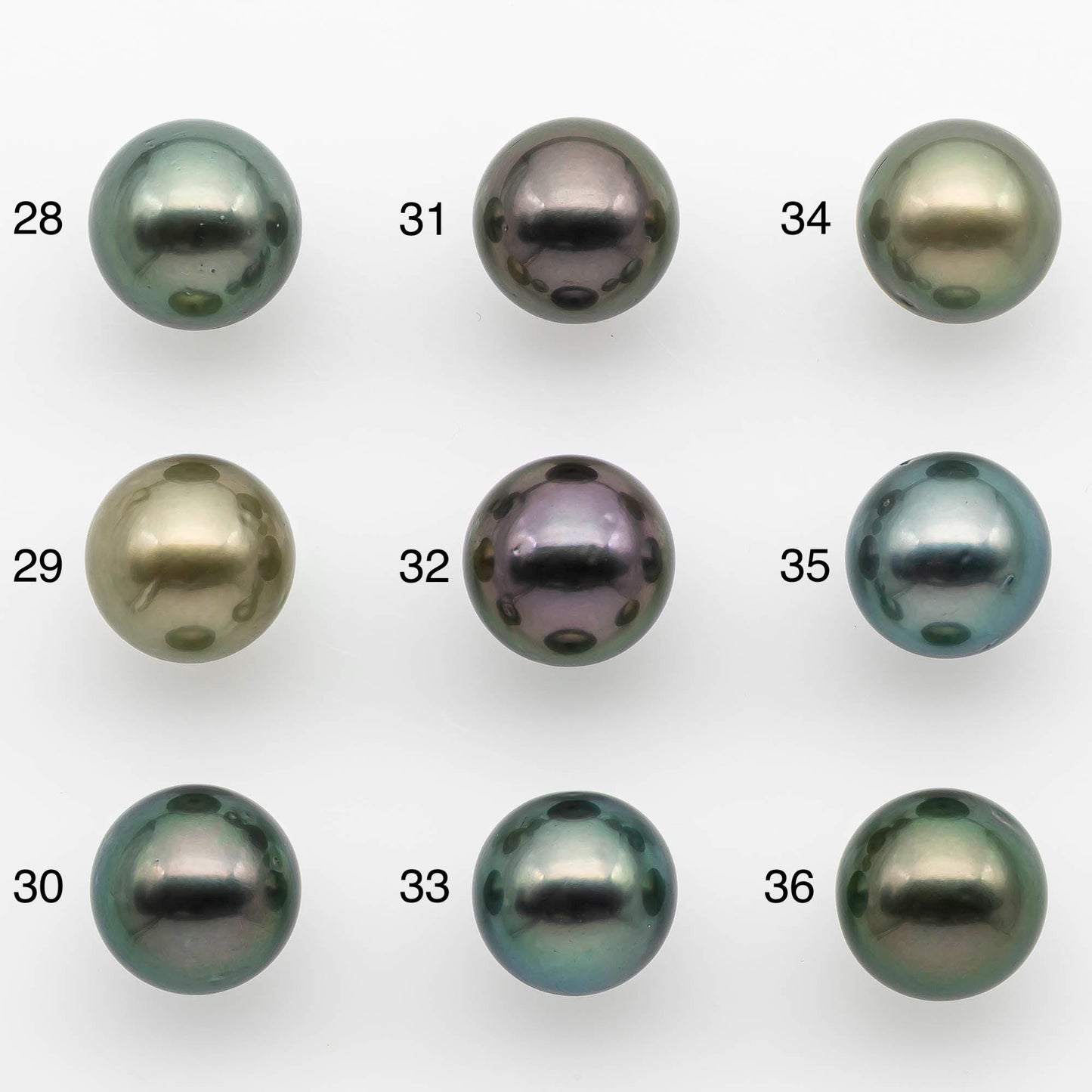 12-13mm Tahitian Pearl in Amazing High Luster and Natural Color, One Piece Undrilled for Making Jewelry, SKU # 2524TH