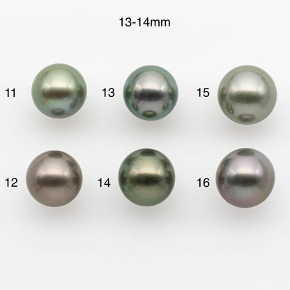 12-15mm Tahitian Pearl with High Luster and Natural Color, One Piece Undrilled for Making Jewelry, SKU # 2528TH