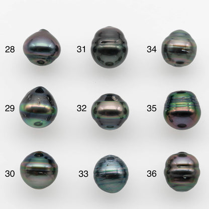 9-10mm Tahitian Pearl with High Luster and Natural Color, One Piece Undrilled for Making Jewelry, SKU # 2530TH