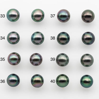 9-10mm Matching Pair Near Round Tahitian Pearl in High Luster, Undrilled for Making Earring or Pendant, SKU # 2540TH