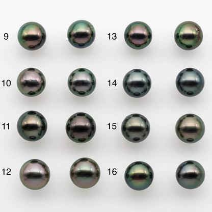 10-11mm Matching Pair Near Round Tahitian Pearl in High Luster, Undrilled for Making Earring or Pendant, SKU # 2542TH