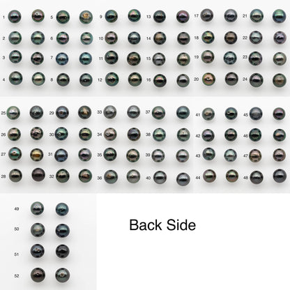10-11mm Matching Pair Near Round Tahitian Pearl in High Luster, Undrilled for Making Earring or Pendant, SKU # 2542TH