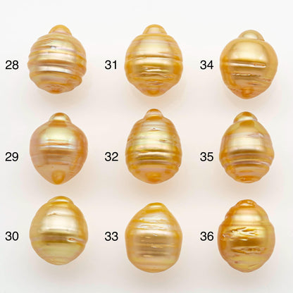 10-11mm South Sea Pearl, Gold Drop Single Piece Nondrilled with High Luster and Minor Blemishes for Jewelry Making, SKU # 2556GS
