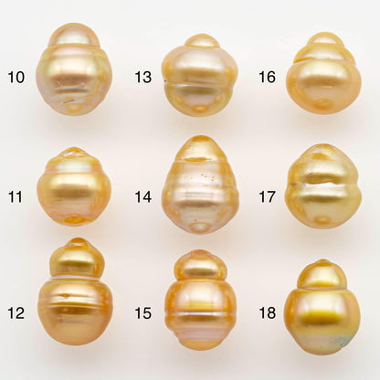 10-11mm South Sea Pearl, Gold Drop Single Piece Nondrilled with High Luster and Minor Blemishes for Jewelry Making, SKU # 2558GS