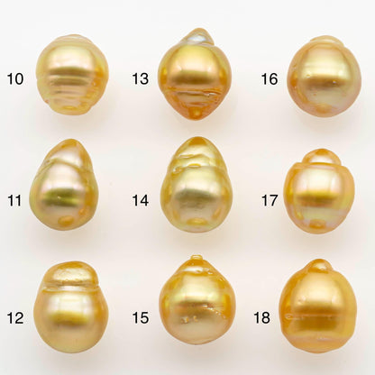 10-11mm South Sea Pearl, Gold Drop Single Piece Nondrilled with High Luster and Minor Blemishes for Jewelry Making, SKU # 2560GS