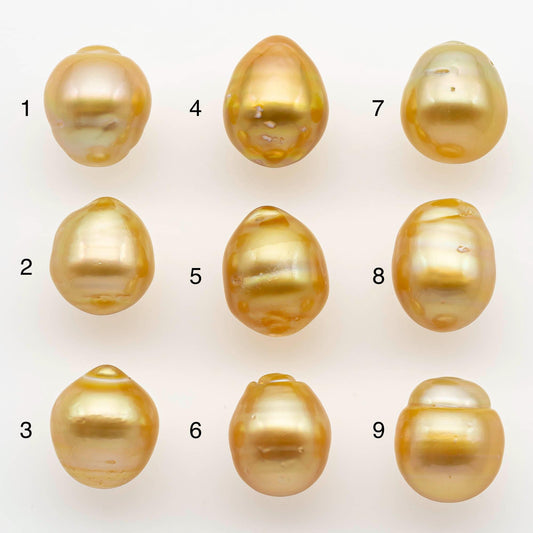 10-11mm South Sea Pearl, Gold Drop Single Piece Nondrilled with High Luster and Minor Blemishes for Jewelry Making, SKU # 2564GS