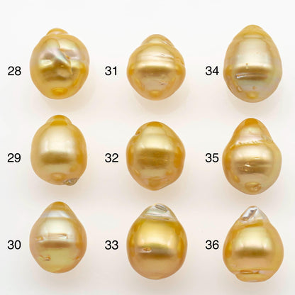 10-11mm South Sea Pearl, Gold Drop Single Piece Nondrilled with High Luster and Minor Blemishes for Jewelry Making, SKU # 2564GS