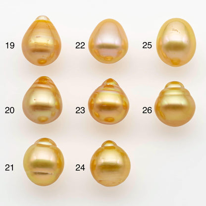 10-11mm South Sea Pearl, Gold Drop Single Piece Nondrilled with High Luster and Minor Blemishes for Jewelry Making, SKU # 2566GS