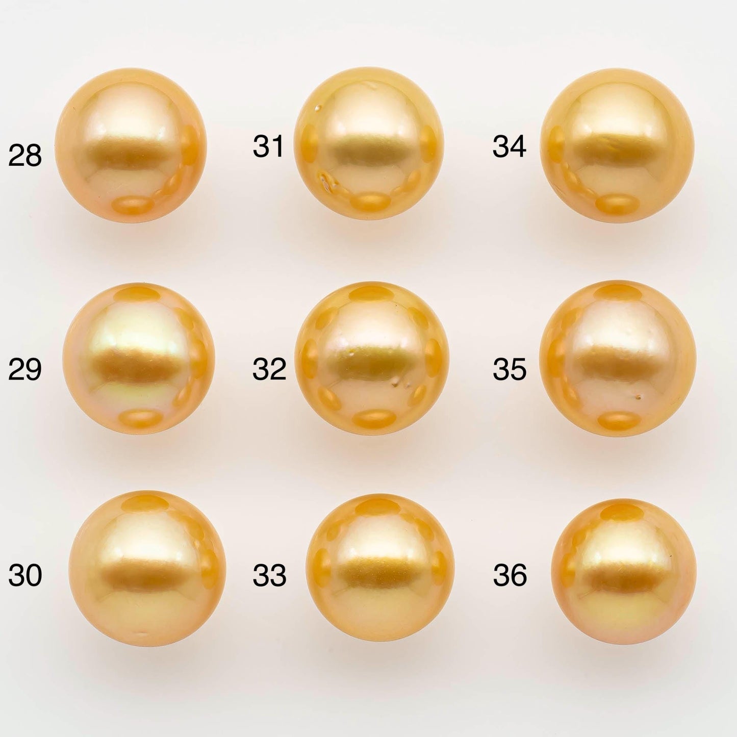 11-12mm South Sea Pearl, Gold Round Single Piece Nondrilled with High Luster and Minor Blemishes for Jewelry Making, SKU # 2568GS