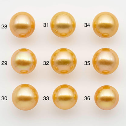 11-12mm South Sea Pearl, Gold Round Single Piece Nondrilled with High Luster and Minor Blemishes for Jewelry Making, SKU # 2568GS