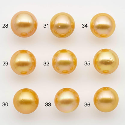12-13mm South Sea Pearl, Gold Round Single Piece Nondrilled with High Luster and Minor Blemishes for Jewelry Making, SKU # 2569GS