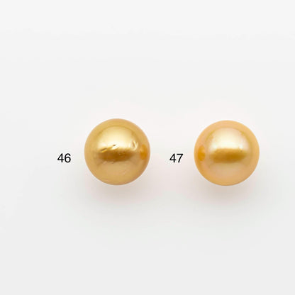 12-13mm South Sea Pearl, Gold Round Single Piece Nondrilled with High Luster and Minor Blemishes for Jewelry Making, SKU # 2570GS
