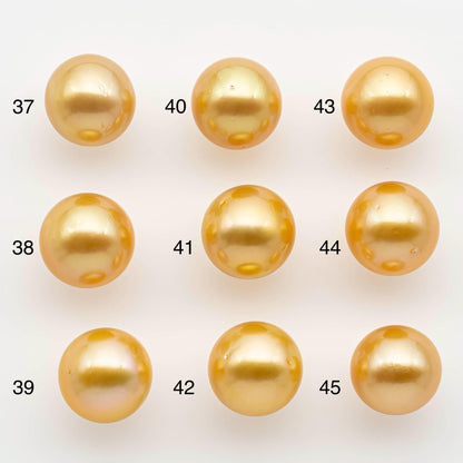 12-13mm South Sea Pearl, Gold Round Single Piece Nondrilled with High Luster and Minor Blemishes for Jewelry Making, SKU # 2570GS