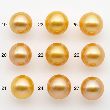 13-14mm South Sea Pearl, Gold Round Single Piece Nondrilled with High Luster and Minor Blemishes for Jewelry Making, SKU # 2571GS