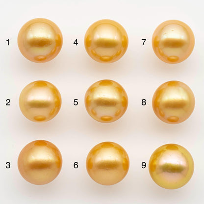 14-15mm South Sea Pearl, Gold Round Single Piece Nondrilled with High Luster and Minor Blemishes for Jewelry Making, SKU # 2573GS
