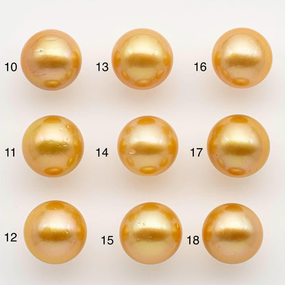 14-15mm South Sea Pearl, Gold Round Single Piece Nondrilled with High Luster and Minor Blemishes for Jewelry Making, SKU # 2574GS