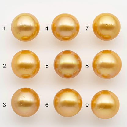 15-16mm South Sea Pearl, Gold Round Single Piece Nondrilled with High Luster and Minor Blemishes for Jewelry Making, SKU # 2575GS