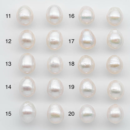 10-11mm Matching Pair Edison Pearl Undrilled with Natural Color and High Luster for Making Earring, SKU # 2592EP